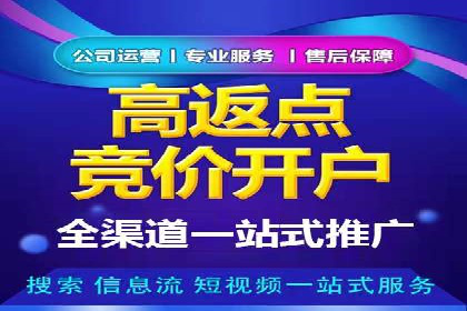 Sem优化公司案例：精准广告投放策略解析